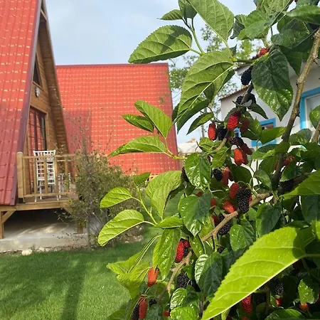 Noel & Cafe Apartmanhotel